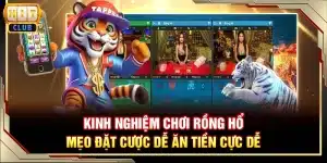 Kinh nghiệm chơi Rồng Hổ - Mẹo đặt cược dễ ăn tiền cực dễ