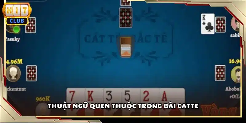Thuật ngữ quen thuộc trong bài Catte