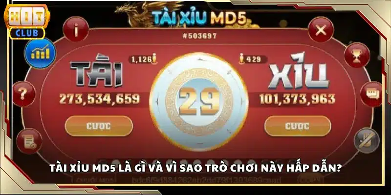 Tài xỉu MD5 là gì và vì sao trò chơi này hấp dẫn?