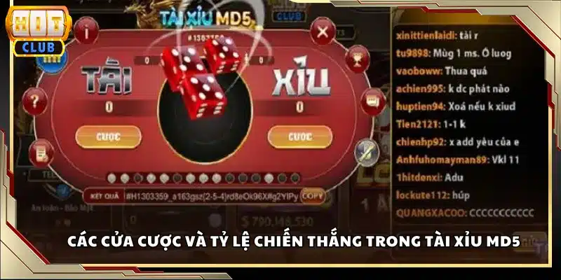 Các cửa cược và tỷ lệ chiến thắng trong tài xỉu MD5