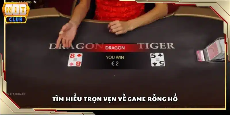 Tìm hiểu trọn vẹn về game Rồng Hổ