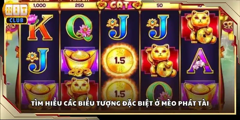Tìm hiểu các biểu tượng đặc biệt ở Mèo Phát Tài